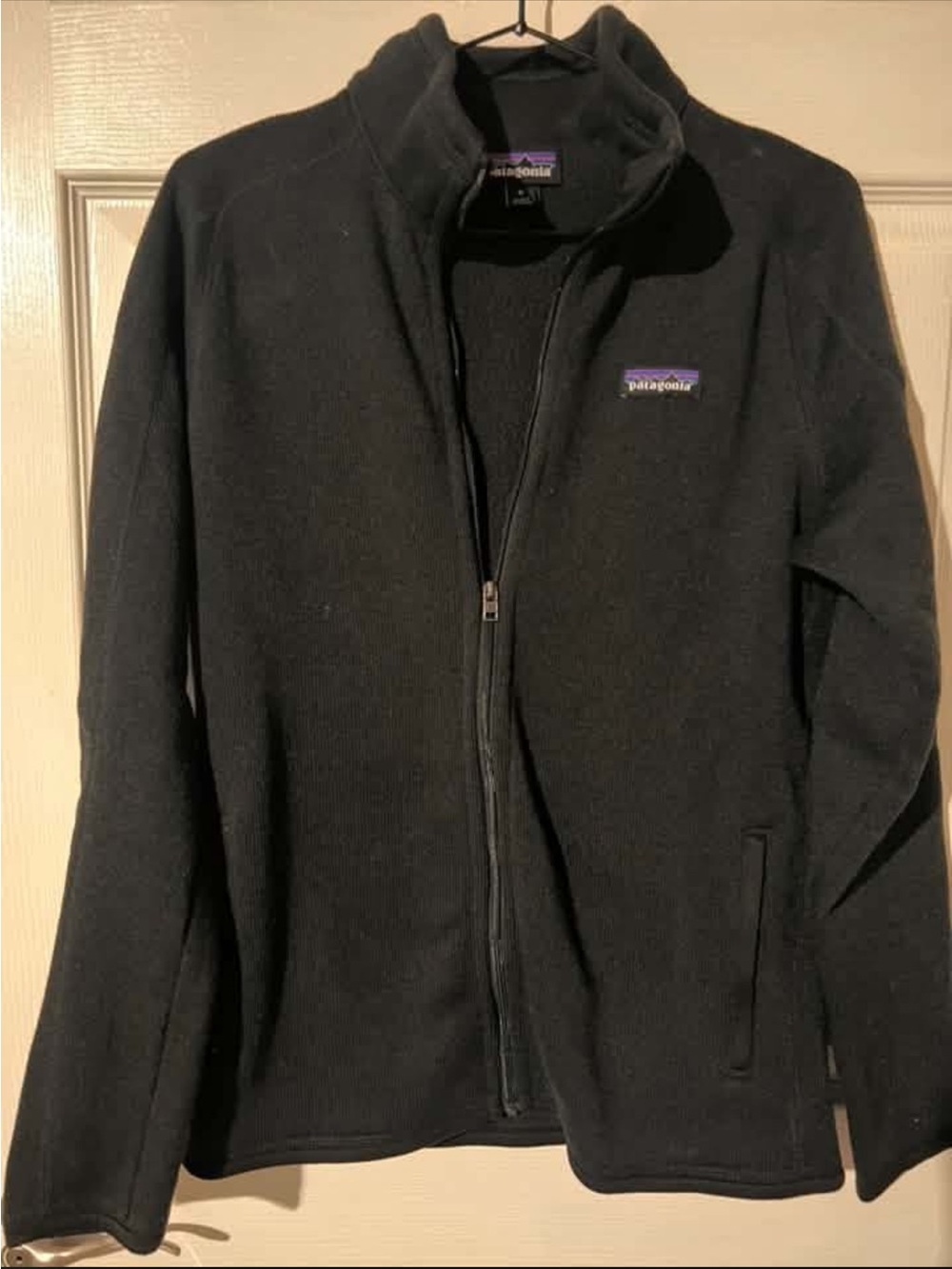 Patagonia Black Full-Zip Lightweight Fleece Jacket